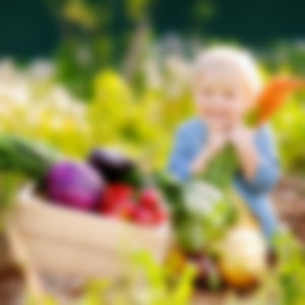 <strong>Organic</strong> Food